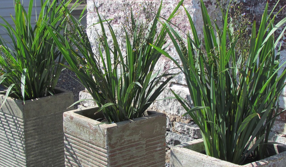 Modelo de jardín de secano actual grande con huerto, exposición total al sol y adoquines de piedra natural