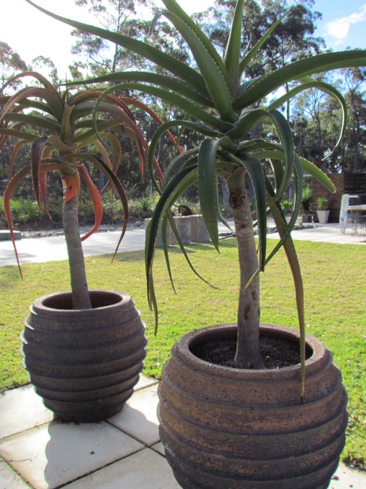 Foto de jardín de secano actual grande con huerto, exposición total al sol y adoquines de piedra natural