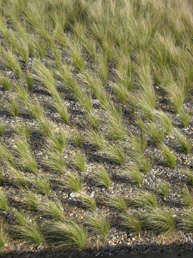 Residential Merimbula Contemporary Landscape Canberra