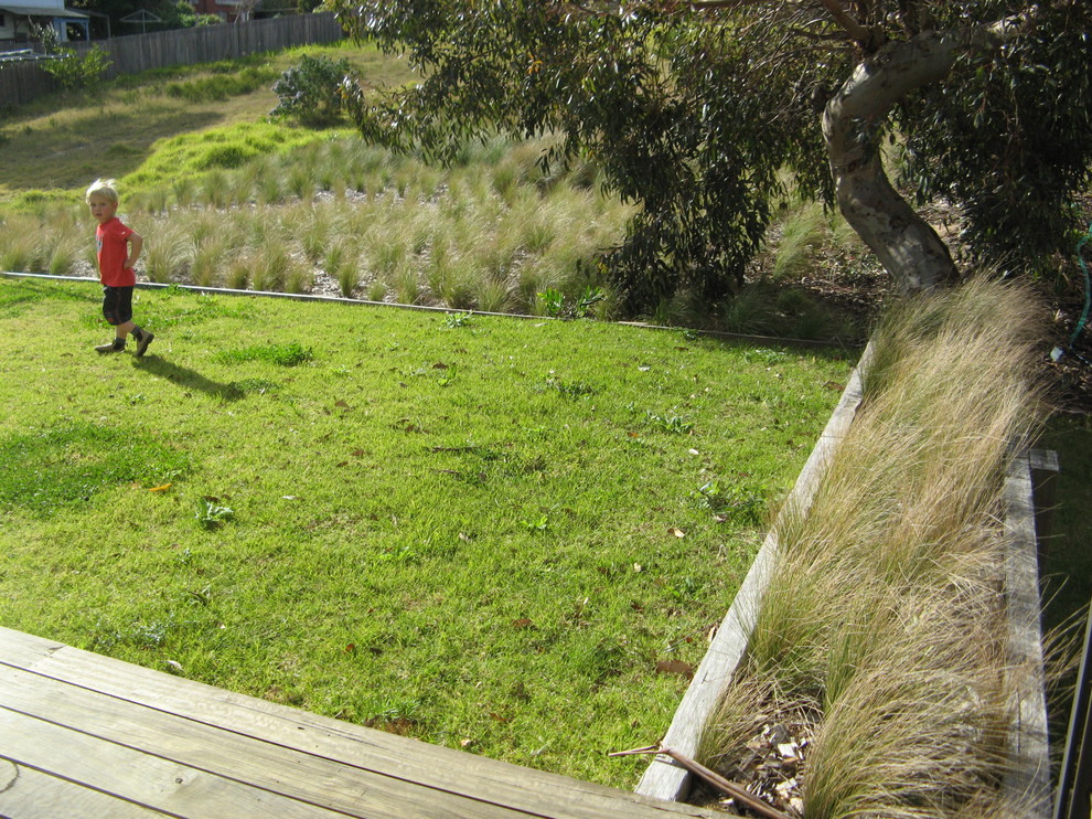 Mittelgroßer Moderner Hanggarten im Frühling mit direkter Sonneneinstrahlung und Mulch in Canberra - Queanbeyan