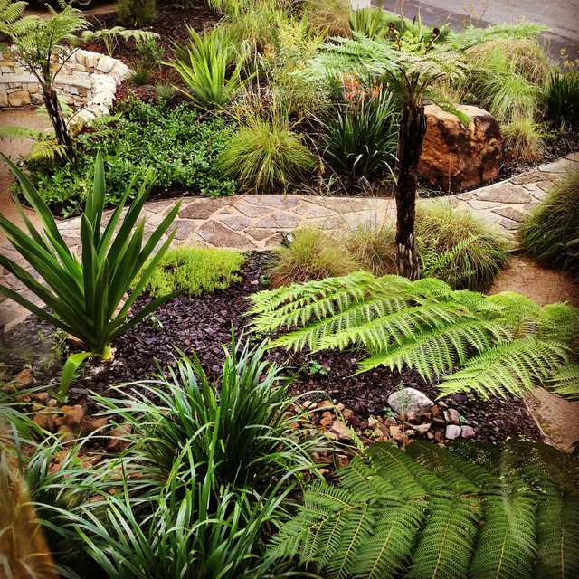 Residential Native Garden - Rustic - Garden - Sunshine Coast - by ...