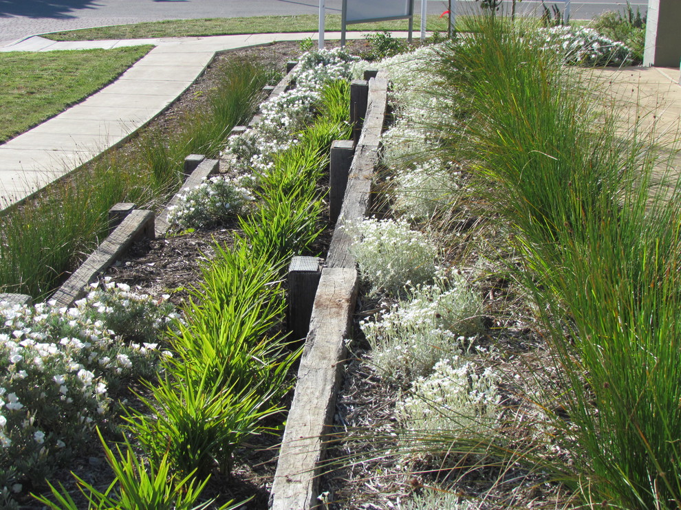 Photo of a small contemporary xeriscape garden for spring in Canberra - Queanbeyan with mulch.