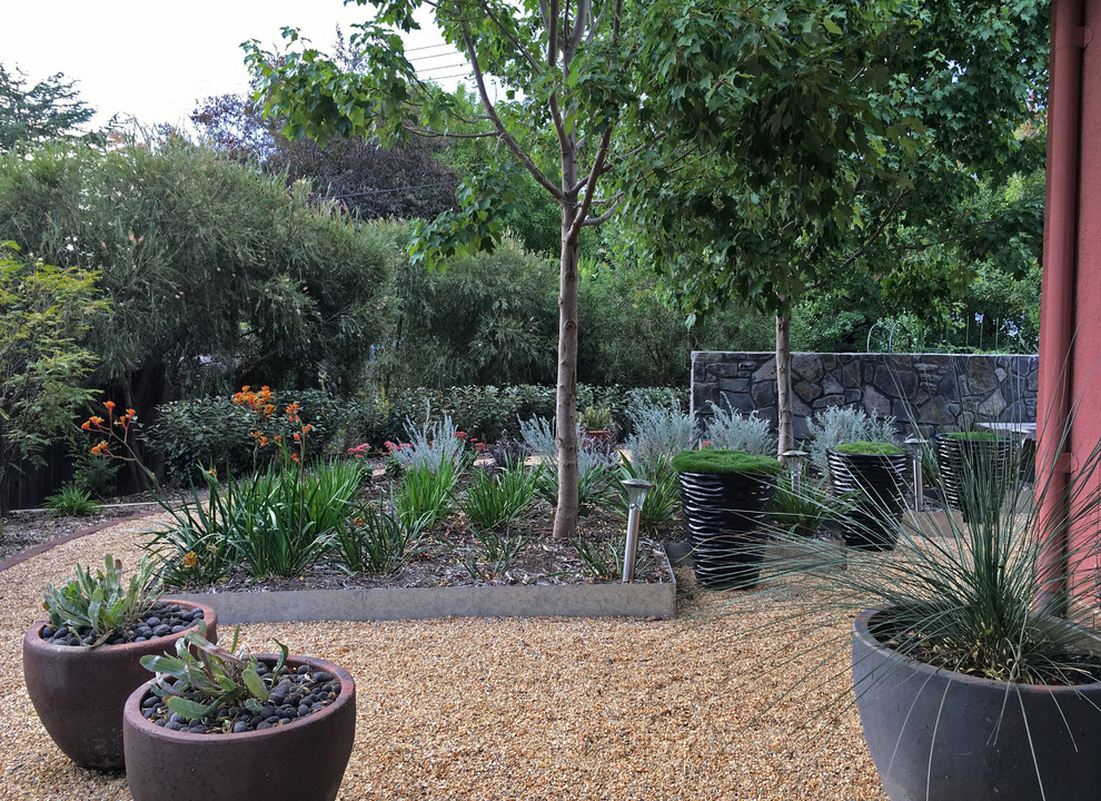 На фото: большой солнечный, летний засухоустойчивый сад на заднем дворе в современном стиле с хорошей освещенностью и покрытием из гравия