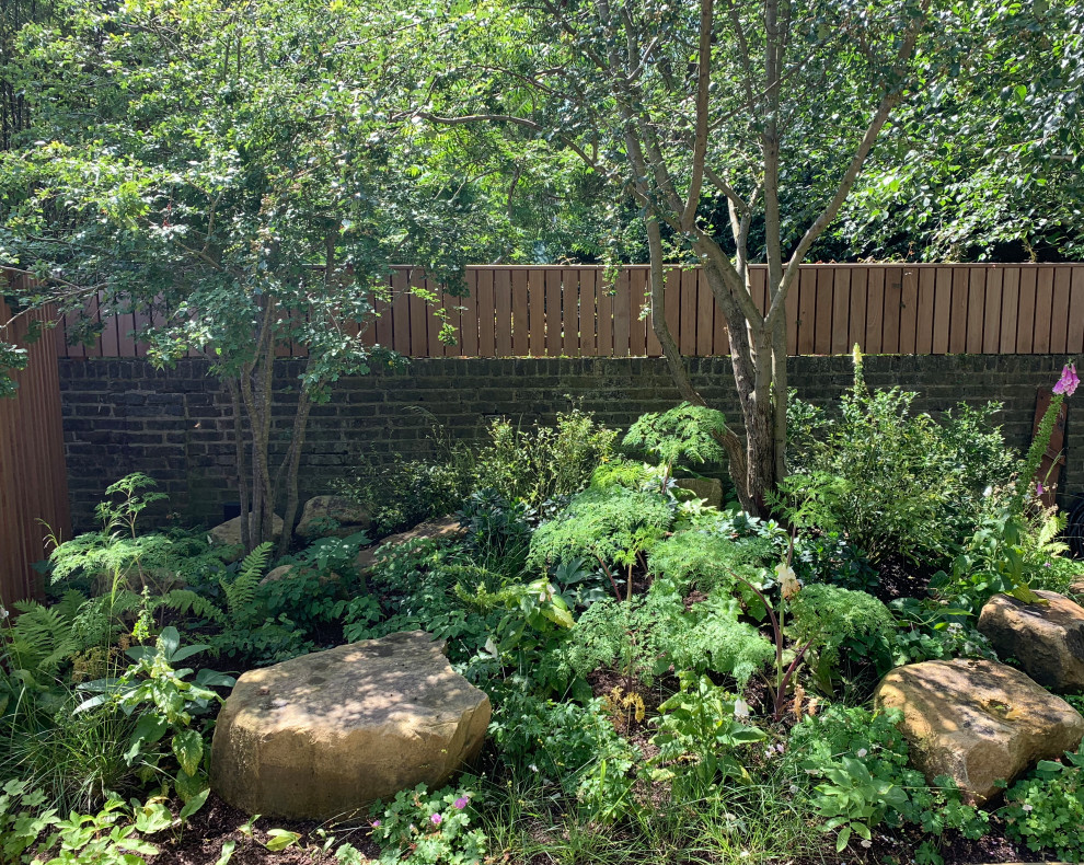 Photo of a medium sized contemporary garden in London.