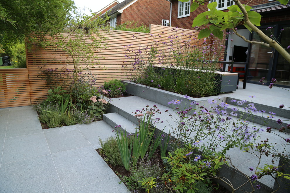 Inspiration for a contemporary garden in Hertfordshire.