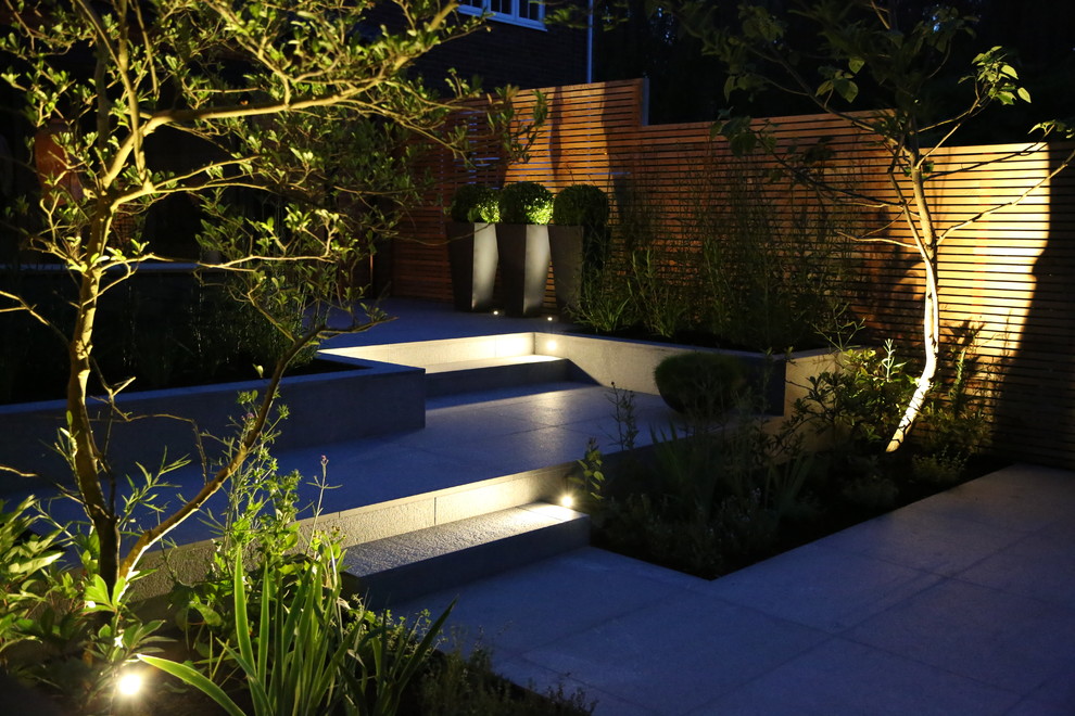 Photo of a contemporary garden in Hertfordshire.