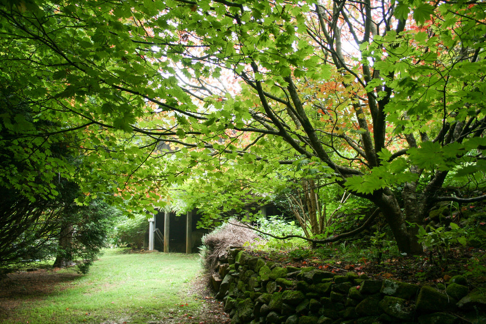 Immagine di un ampio giardino formale etnico esposto in pieno sole davanti casa con un ingresso o sentiero e ghiaia