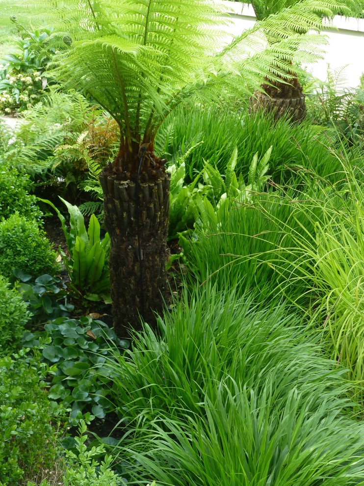 This is an example of a large contemporary partial sun backyard landscaping in London for summer.
