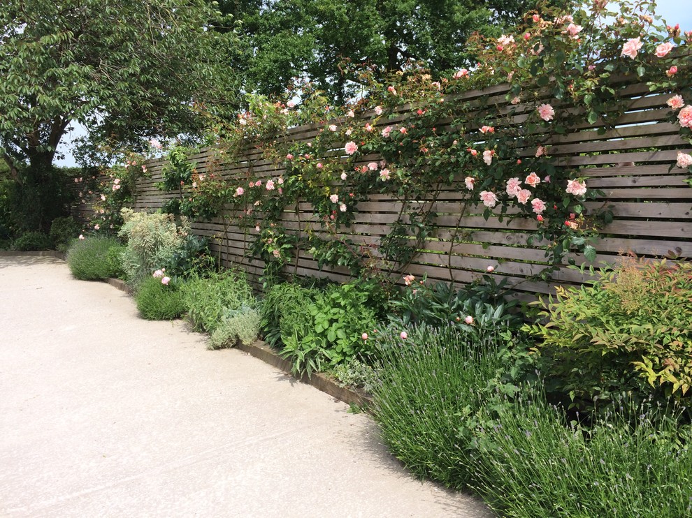Идея дизайна: огромный солнечный, летний регулярный сад на заднем дворе в современном стиле с подпорной стенкой, хорошей освещенностью и покрытием из гравия