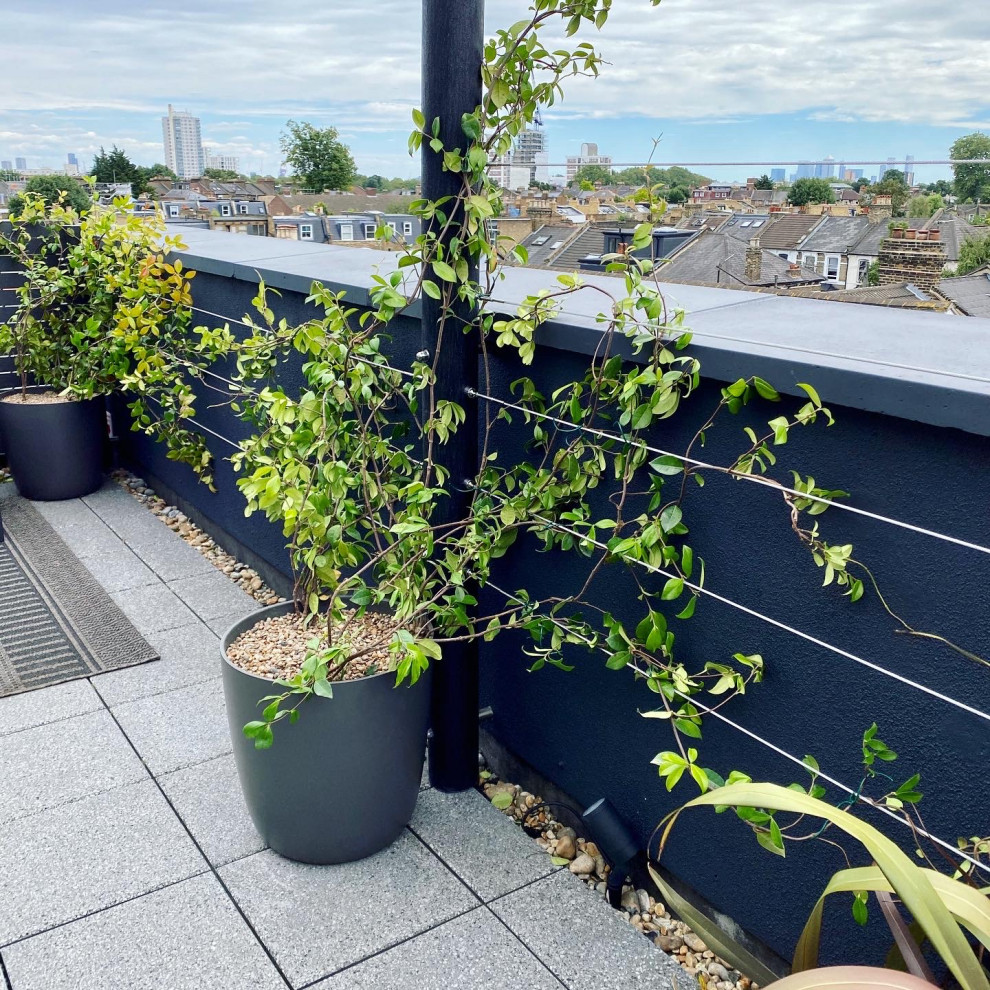 Design ideas for a small contemporary drought-tolerant, privacy and full sun rooftop metal fence landscaping in London.