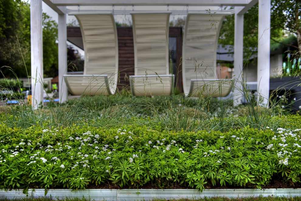 Esempio di un giardino formale minimalista esposto in pieno sole sul tetto e di medie dimensioni con pedane