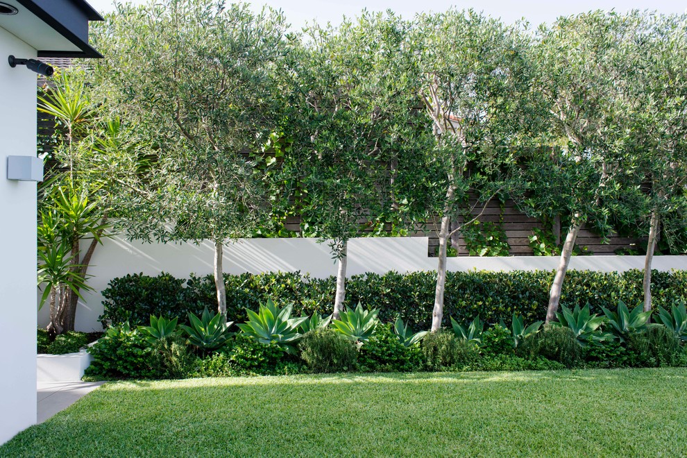 Inspiration pour un jardin vertical arrière design de taille moyenne avec une exposition ensoleillée.