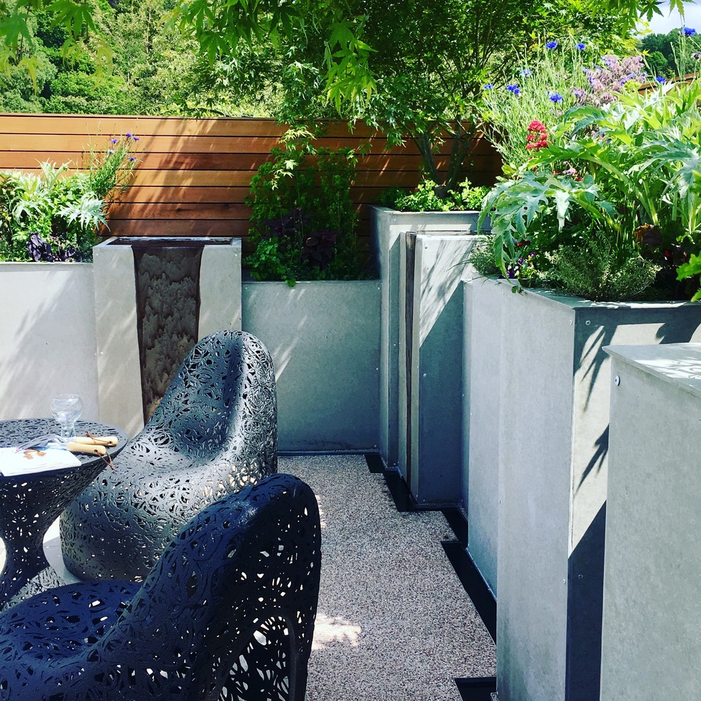 Photo of a small contemporary back formal garden in London with a potted garden and concrete paving.