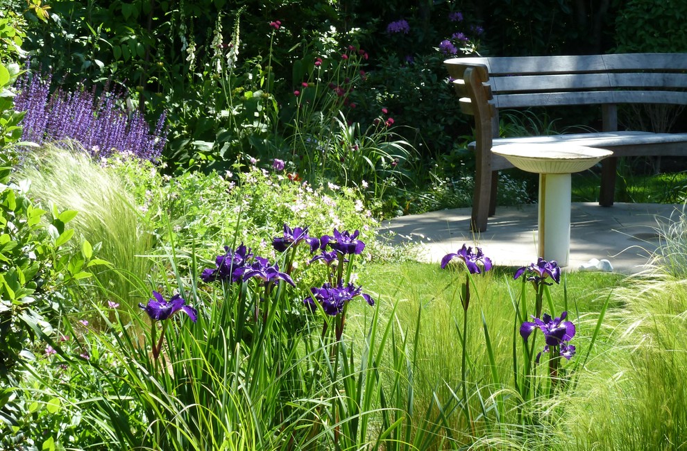 Свежая идея для дизайна: участок и сад в стиле рустика с полуденной тенью - отличное фото интерьера