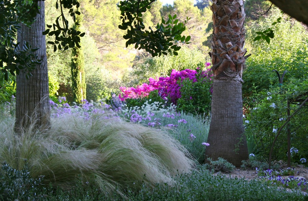 Esempio di un giardino mediterraneo esposto in pieno sole di medie dimensioni e dietro casa in estate con un ingresso o sentiero e ghiaia
