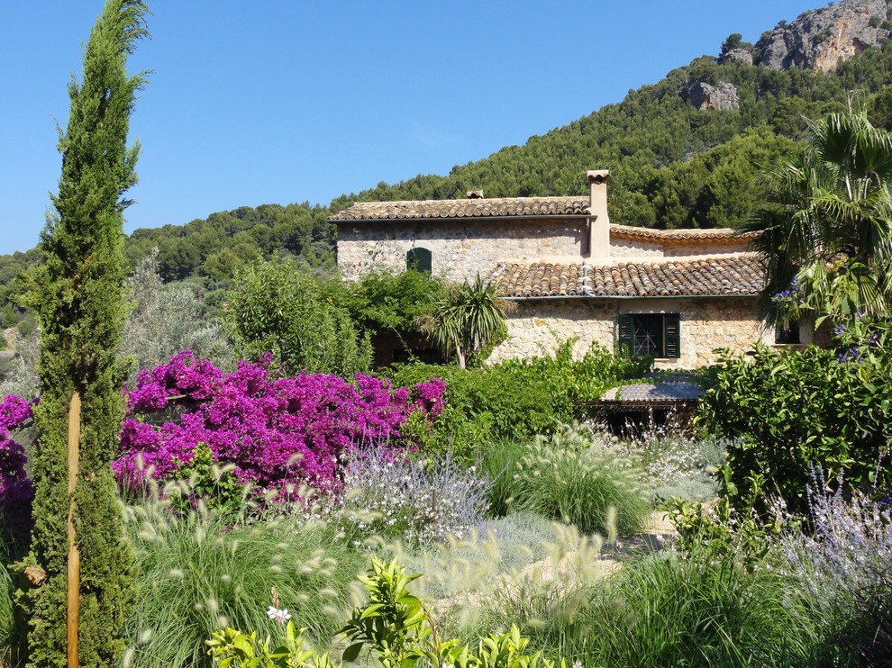 Immagine di un giardino mediterraneo esposto in pieno sole di medie dimensioni e dietro casa in estate con un ingresso o sentiero e ghiaia