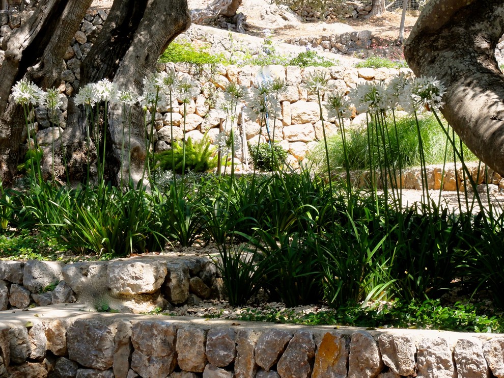 Medelhavsstil inredning av en mellanstor bakgård i full sol, med en trädgårdsgång och grus på sommaren