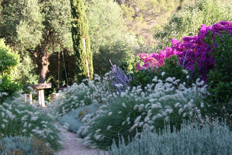 Foto di un giardino mediterraneo esposto in pieno sole di medie dimensioni e dietro casa in estate con un ingresso o sentiero e ghiaia