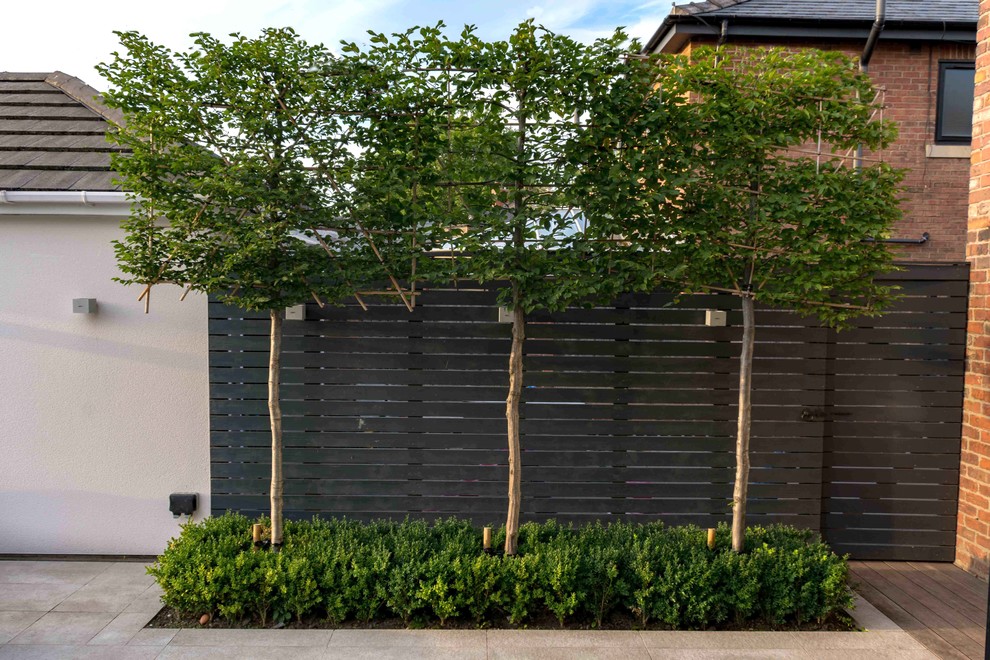 Idee per un giardino contemporaneo esposto a mezz'ombra di medie dimensioni e dietro casa in estate con pedane