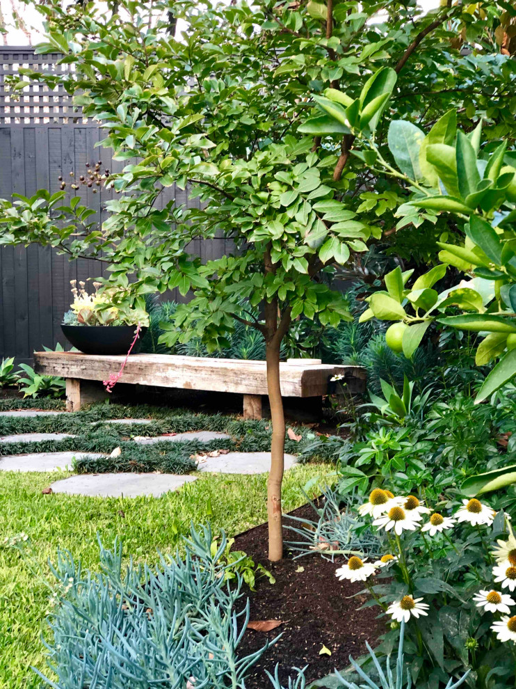 Esempio di un giardino contemporaneo esposto a mezz'ombra di medie dimensioni e dietro casa in estate
