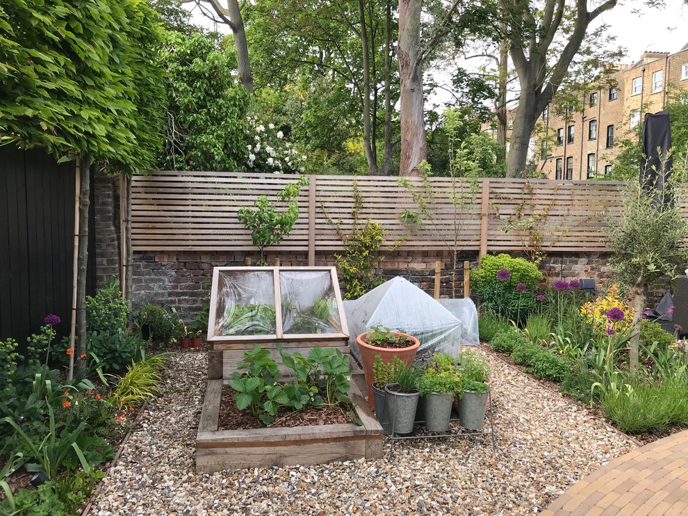 Mittelgroßer, Geometrischer Moderner Garten hinter dem Haus in London