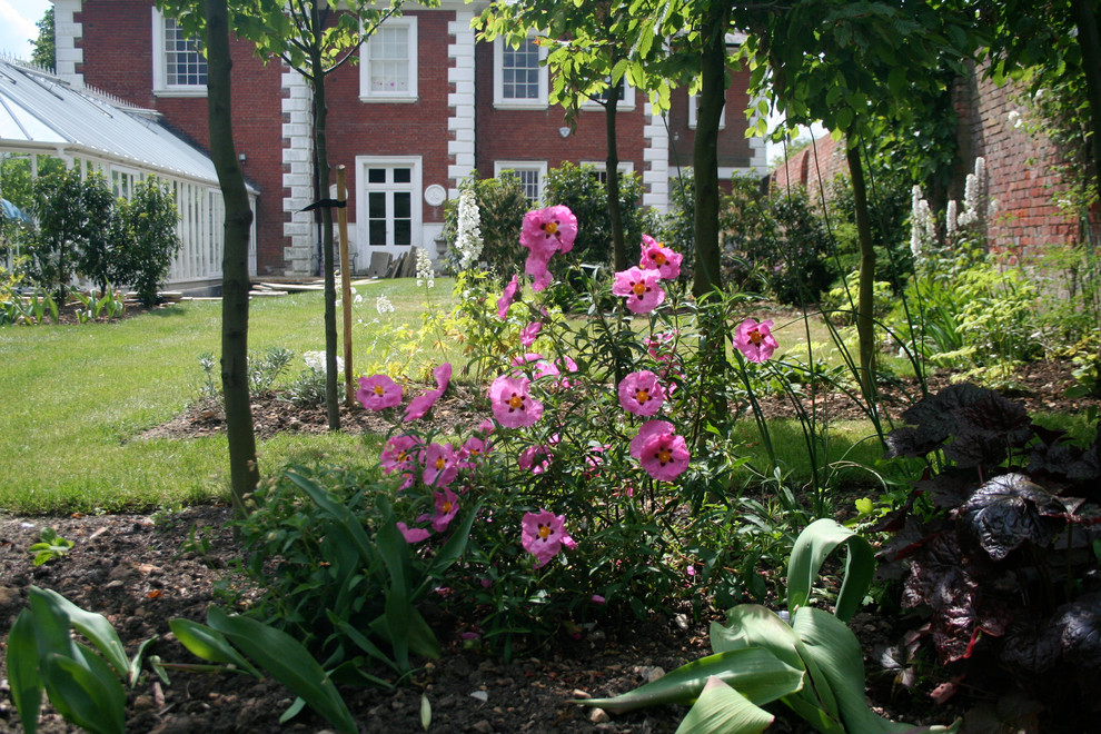 This is an example of a contemporary garden in Other.