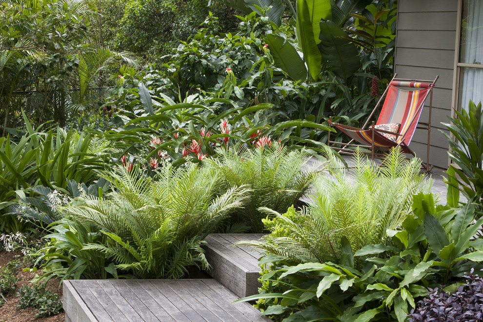 Cette photo montre un jardin arrière exotique avec une terrasse en bois.