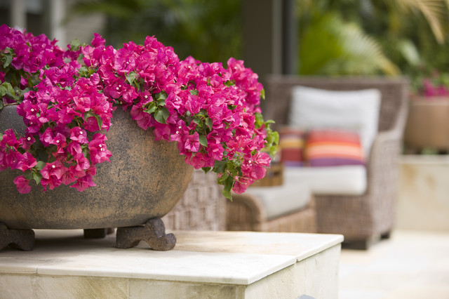 How to Create Stunning Planters with Faux Flowers for your Summer