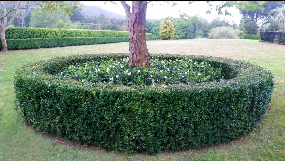 Shapes, Topiaries, clipped back & sides that make a difference in your