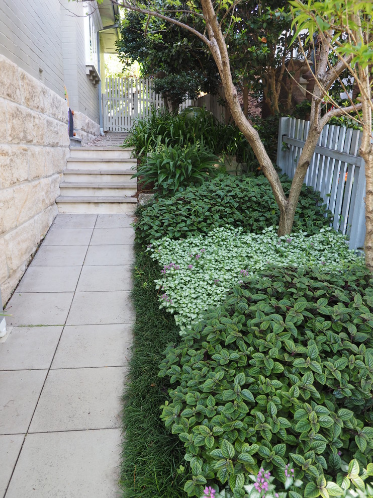 Idée de décoration pour un jardin latéral minimaliste avec une exposition ombragée et des pavés en béton.
