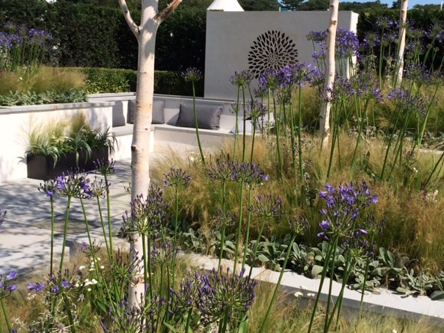 Photo of a contemporary landscaping in West Midlands.