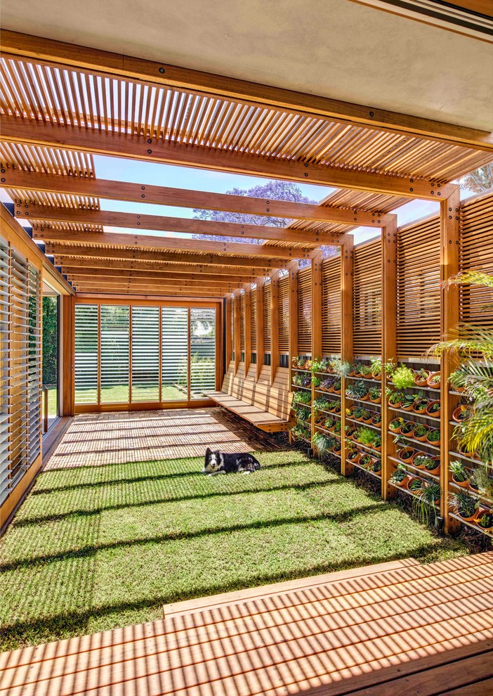 Idée de décoration pour un jardin sur cour minimaliste de taille moyenne.
