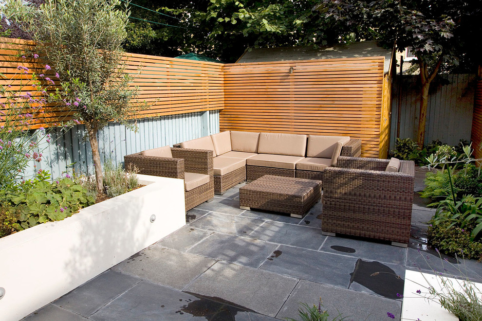 Small Garden Design in Putney - Contemporary - Landscape - London - by ...