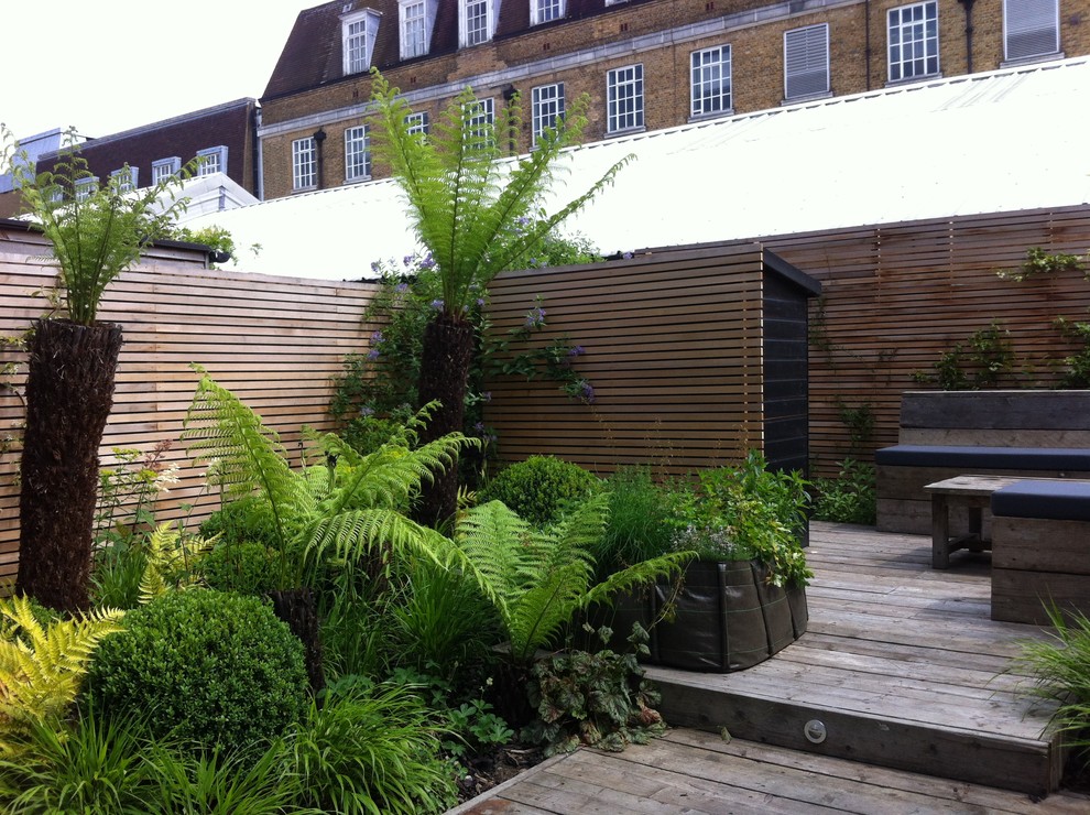 Idées déco pour un petit jardin arrière éclectique avec une exposition partiellement ombragée et une terrasse en bois.
