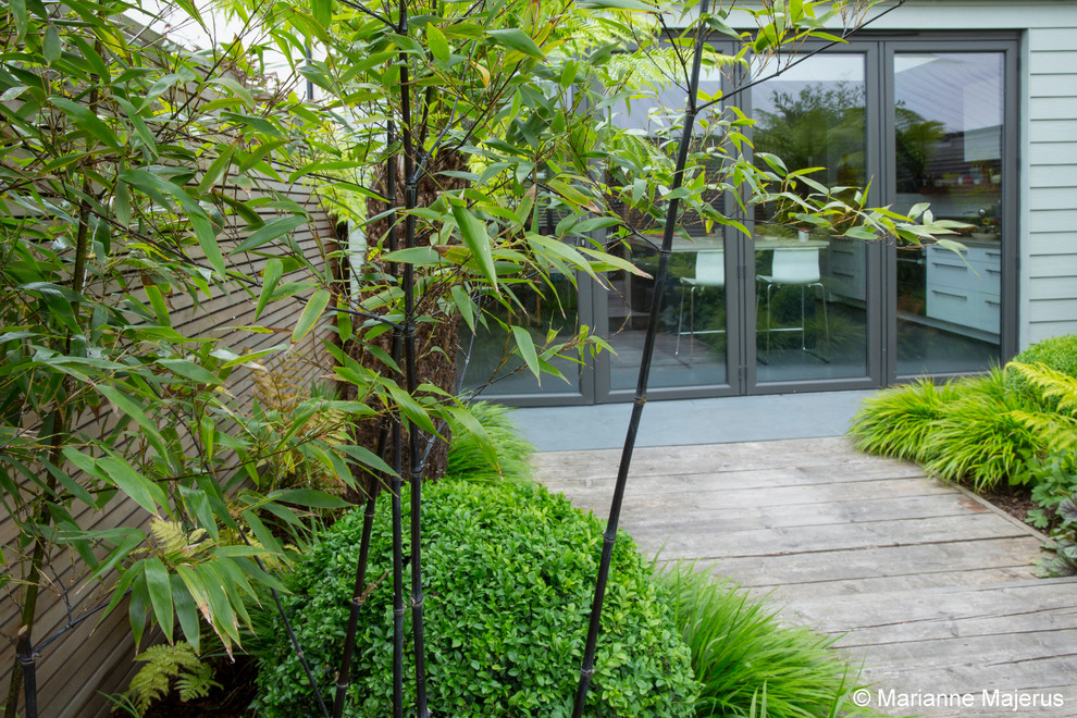 Idées déco pour un petit jardin arrière contemporain avec une exposition partiellement ombragée et une terrasse en bois.
