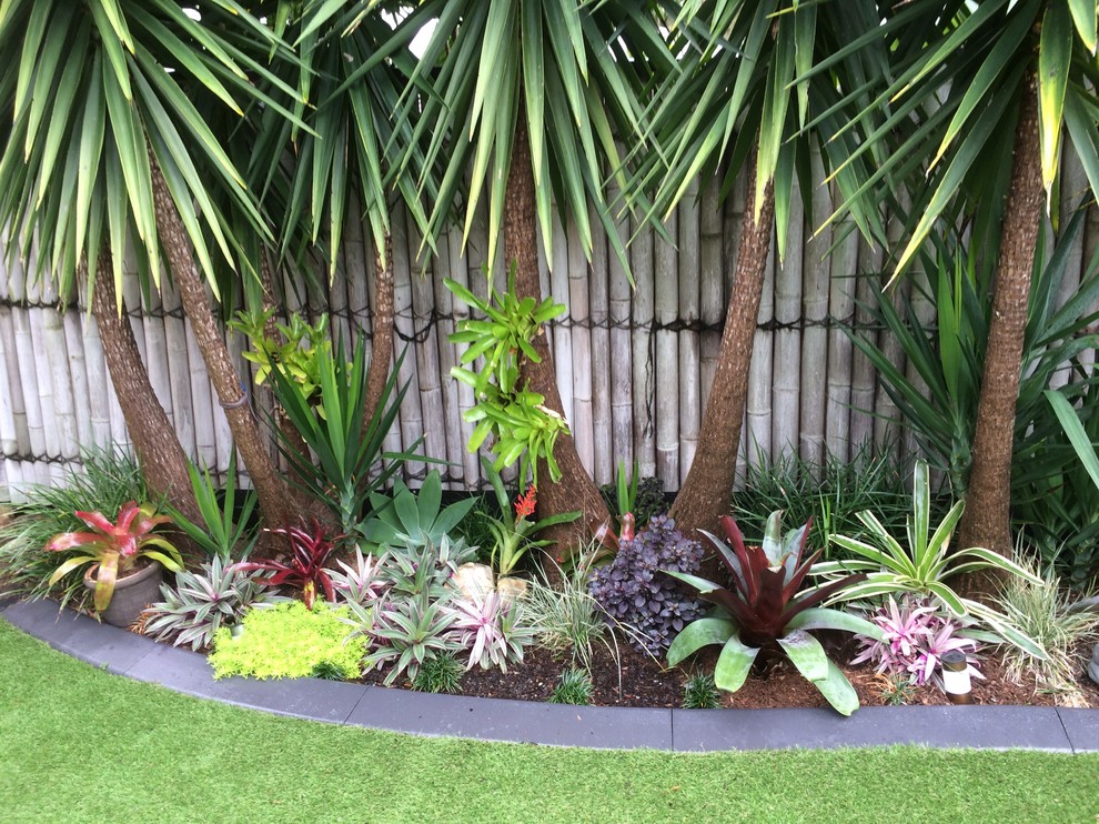 Esempio di un giardino formale tropicale esposto a mezz'ombra di medie dimensioni e dietro casa in estate con un giardino in vaso