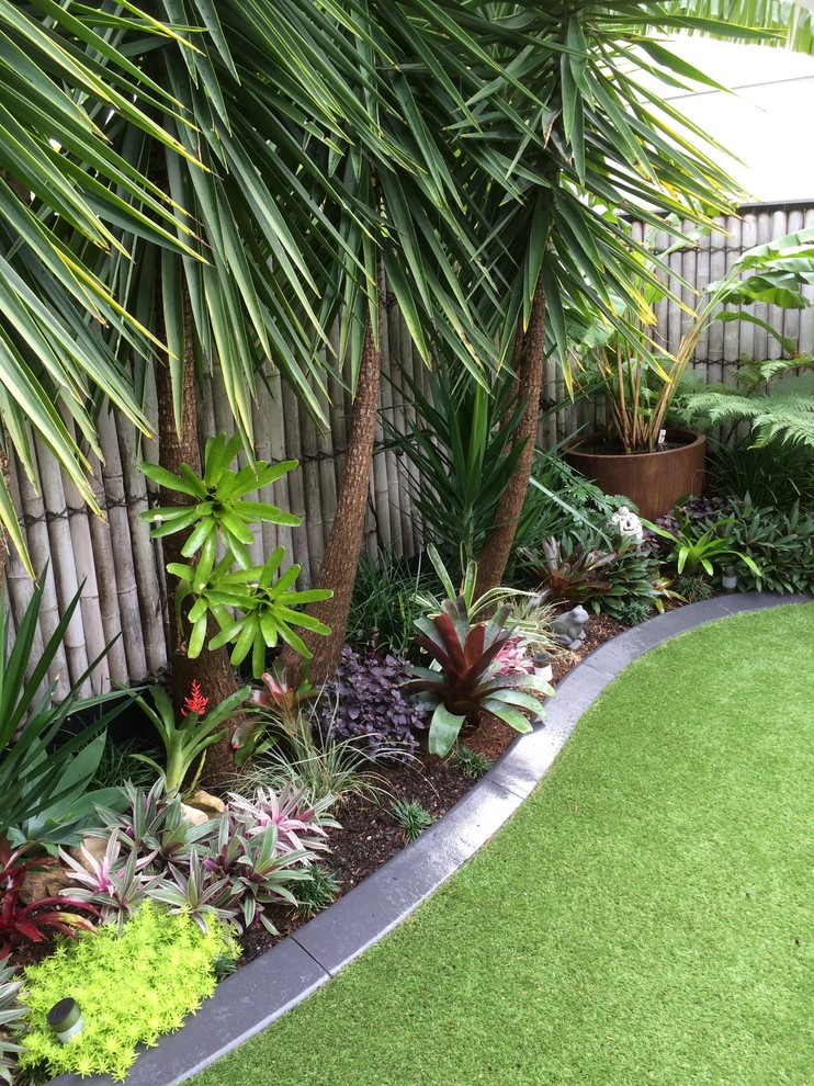Idee per un giardino formale tropicale esposto in pieno sole di medie dimensioni e dietro casa in estate con un giardino in vaso