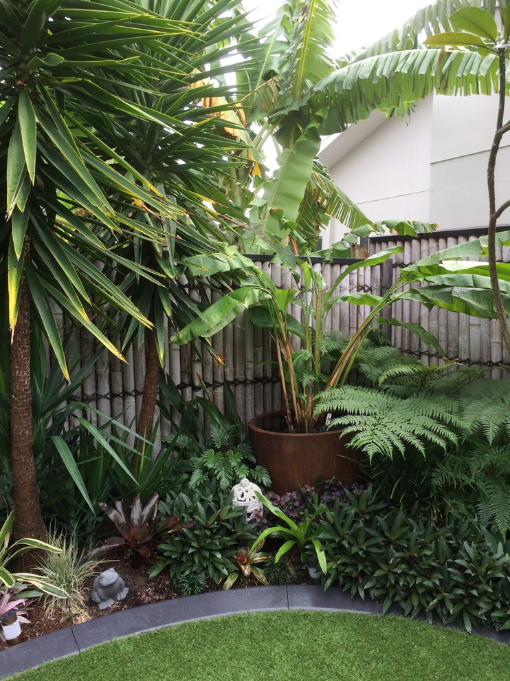 Immagine di un giardino formale tropicale esposto a mezz'ombra di medie dimensioni e dietro casa in estate con un ingresso o sentiero