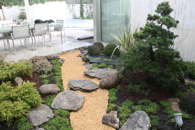 Small japanese garden - Asian - Garden - London - by The Japanese