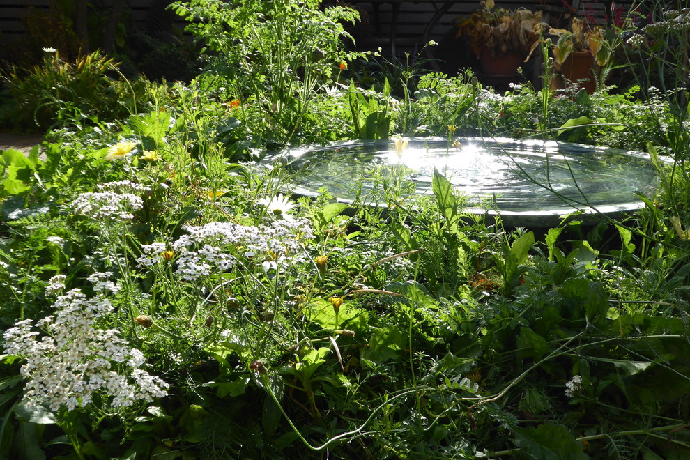 Cette photo montre un petit jardin arrière tendance l'été avec une exposition partiellement ombragée et des pavés en brique.