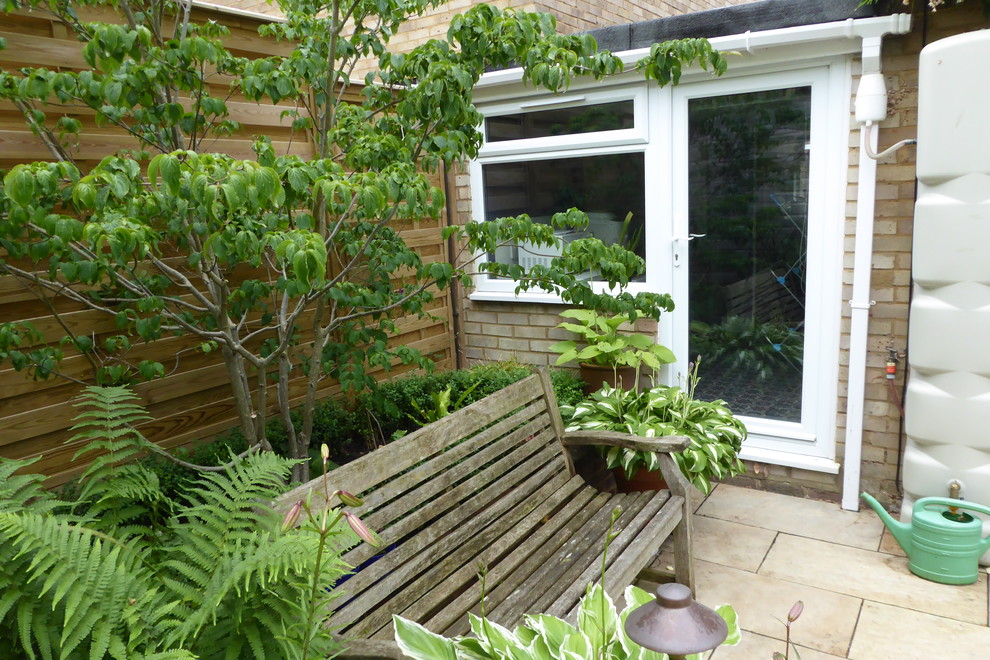 Идея дизайна: маленький летний участок и сад на заднем дворе в современном стиле с садовой дорожкой или калиткой и полуденной тенью для на участке и в саду