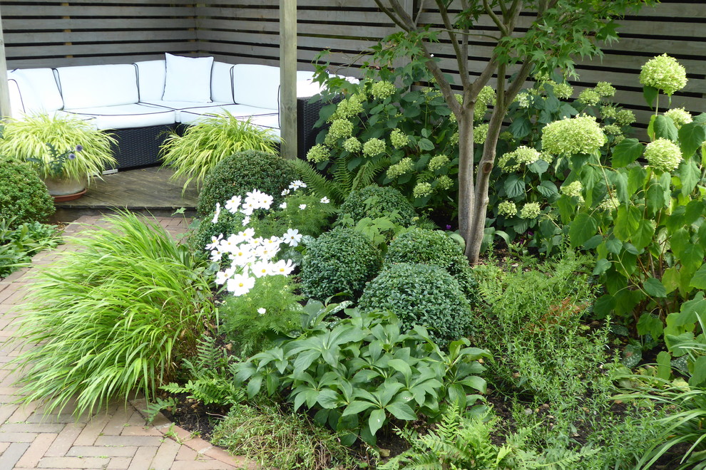 Пример оригинального дизайна: маленький летний участок и сад на заднем дворе в современном стиле с садовой дорожкой или калиткой, полуденной тенью и мощением клинкерной брусчаткой для на участке и в саду