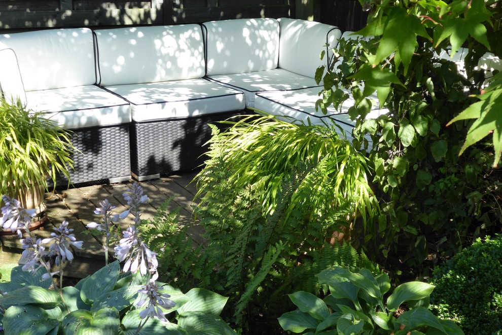 Свежая идея для дизайна: маленький летний участок и сад на заднем дворе в классическом стиле с полуденной тенью для на участке и в саду - отличное фото интерьера