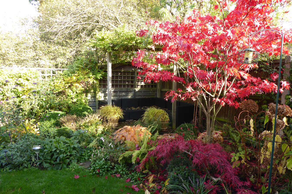 Kleiner, Halbschattiger Klassischer Garten im Herbst, hinter dem Haus mit Dielen in Hertfordshire