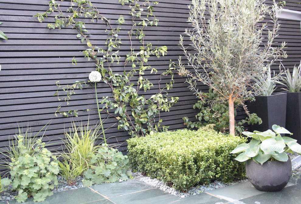 Foto di un piccolo giardino design esposto a mezz'ombra dietro casa in estate con pavimentazioni in pietra naturale