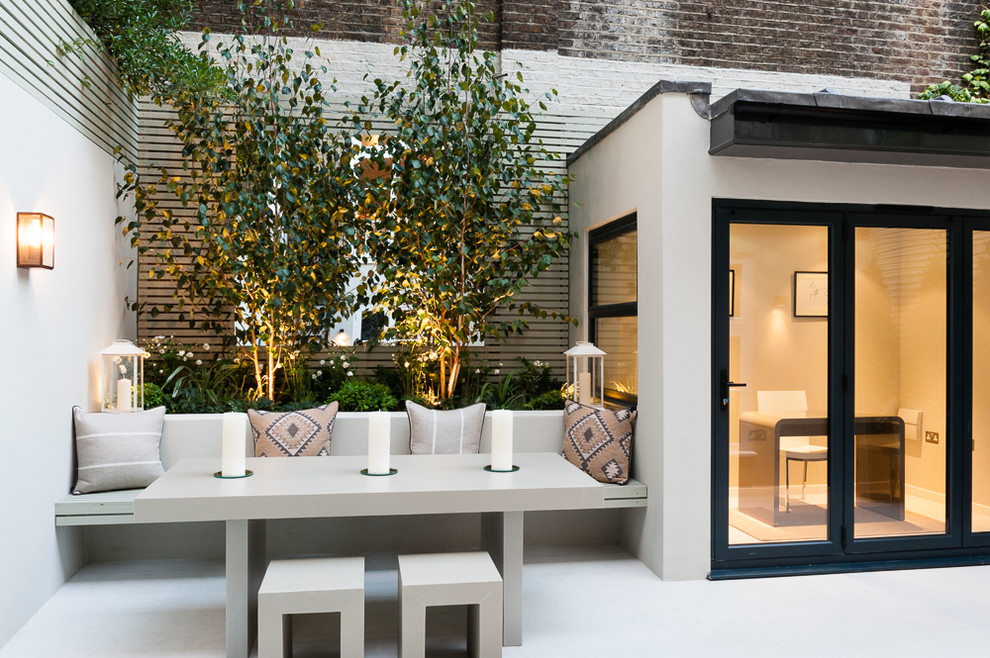 Small contemporary garden in London.