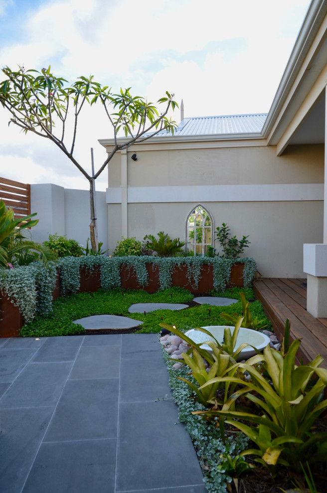 Пример оригинального дизайна: маленький солнечный, весенний засухоустойчивый сад на переднем дворе в современном стиле с садовой дорожкой или калиткой, хорошей освещенностью и покрытием из каменной брусчатки для на участке и в саду