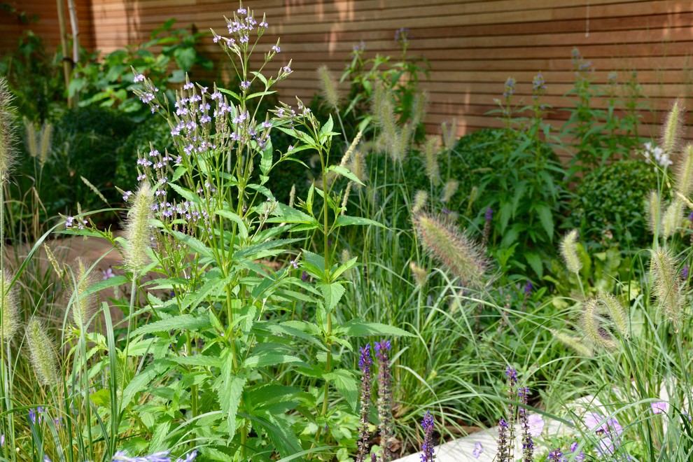Ejemplo de jardín contemporáneo de tamaño medio en verano en patio trasero con estanque, exposición total al sol y adoquines de piedra natural