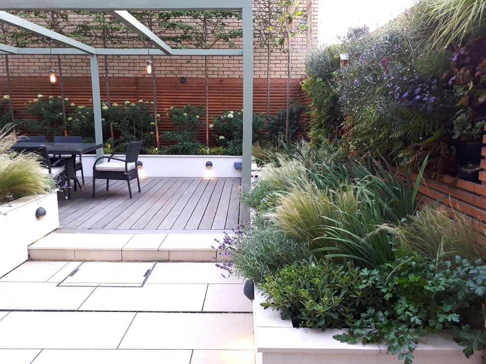 Inspiration for a medium sized contemporary courtyard xeriscape partial sun garden in Cambridgeshire with a living wall.