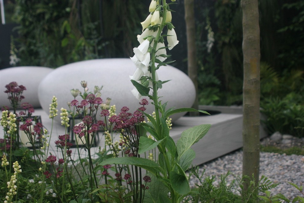 Geometrischer, Kleiner, Halbschattiger Moderner Garten mit Dielen in London